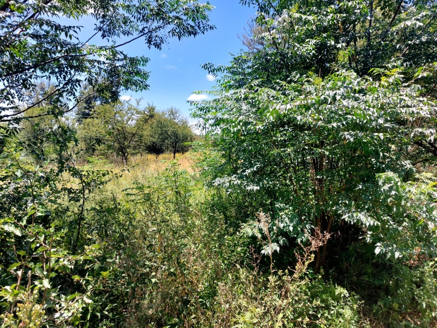 0 Bedroom Property for Sale in Swartruggens North West